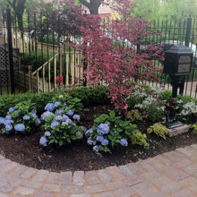 Front Flower Beds