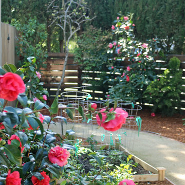 Contemporary Landscaping