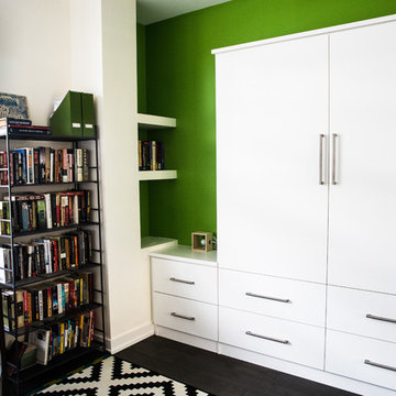 Bucktown Condo Renovation