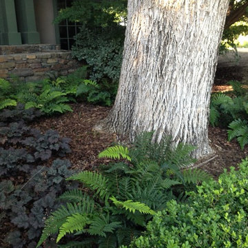 English Garden for a Craftsman Remodel at Home Ranch