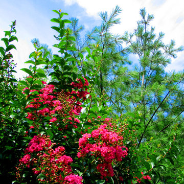 More Color Please