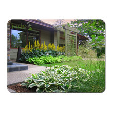 Landscape Ideas