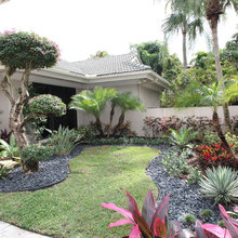 Landscape Ideas