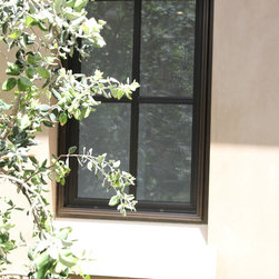 Painted Wood with Bronze Clad windows - Windows