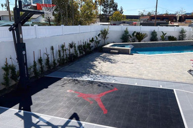 SNAPSPORTS - Backyard Mini Basketball Court