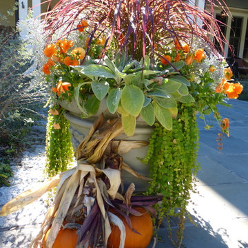Fall Container Design