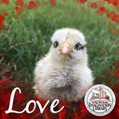 Dee Talmadge's photo