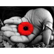 Wendy Litchfield's photo