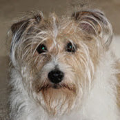 Michael Hershberger's photo