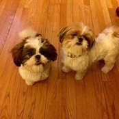Dianne Dyson's photo