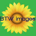 Foto de perfil de BTW images