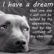 Alex Hartley's photo