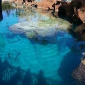 Sonya Coleman-Cargill's photo