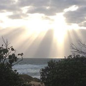 Christina Cameron's photo