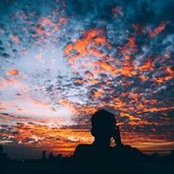 Jared Sim's photo