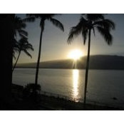 Jennifer Nowe's photo