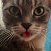 Maria Malychev's photo