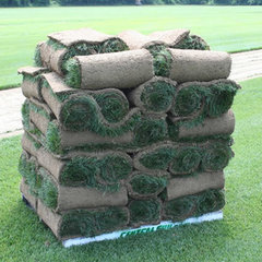 Central Sod Farms, INC