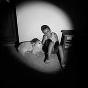 Ionut Lupulescu's photo