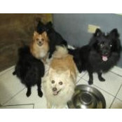 J J Scriven's photo