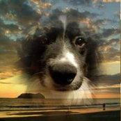 S Christopher Torchia's photo