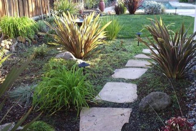 Stepping stones and drought-tolerant plants