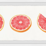 Marmont Hill Inc. - "Sliced Citrus" Framed Painting Print, 45"x15" - Bright pink centers of grapefruit shown in different slices from different angles. This portrait of delicious citrus fruit is the perfect accent for any living or kitchen area. Proudly printed in the USA, this piece is printed on high quality archive paper and professionally hand-framed. With wall-mounting hooks included, this artful accent is ready to hang up as soon as it reaches your front door.