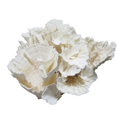 New Arrivals - Products