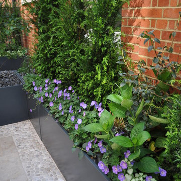 Classical London Roof Terrace by Aralia 'Knightsbridge'