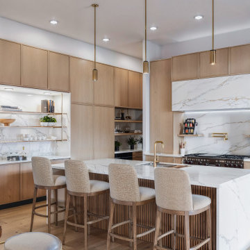 Virtual Construction, Interior Design for Presell - Austin, TX