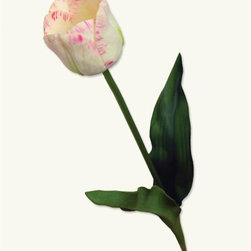 Holland's Gem Faux Tulip Stem - Artificial Flower Arrangements