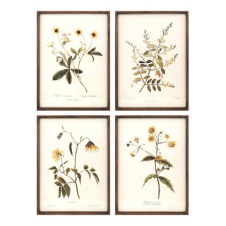 Melrose International Wood Framed Floral Outline Print (Set of 6) main image 1