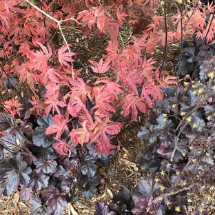 Stilmix Garten in Charlotte