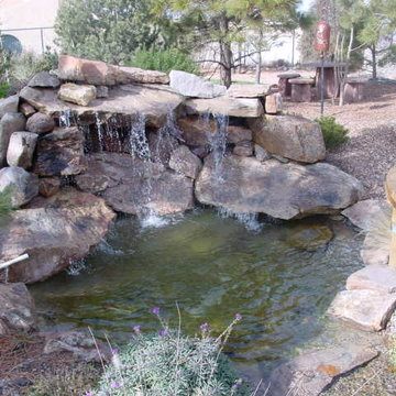 Ponds & Water Gardens