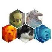 Angelina Larson's photo