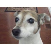 Carol Raines's photo