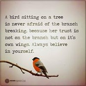 Angela Wray's photo