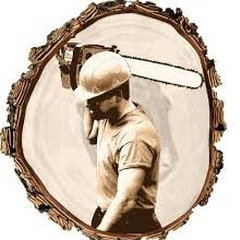 3-D Tree Services