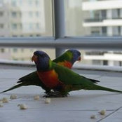 Norah Mohammad's photo