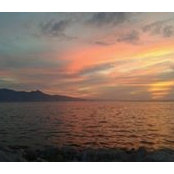 Didem Altun's photo