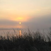 Sue Iverson's photo
