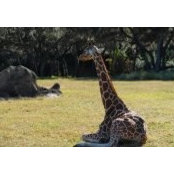 Judy Hackett's photo