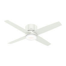 Ceiling Fans