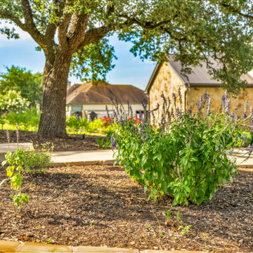 Dripping Springs Oasis