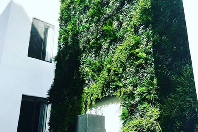 ロサンゼルスにあるラグジュアリーなモダンスタイルのおしゃれな家の外観 (コンクリートサイディング、アパート・マンション、緑化屋根、下見板張り) の写真