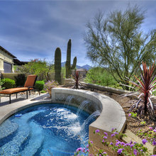 Backyard/Pool