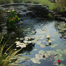 Landscape Ideas
