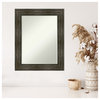 Rail Rustic Char Petite Bevel Wall Mirror 23.75 x 29.75 in.