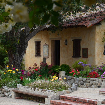 Drought Tolerant Plants