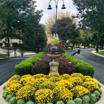Seasonal Color-Autumn